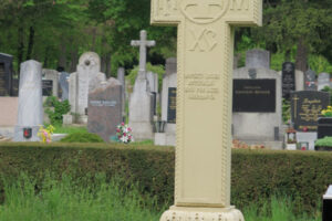Dialog tineresc in miscare (1)