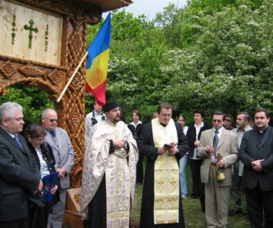 2006 Poarta maramuresana-Viena